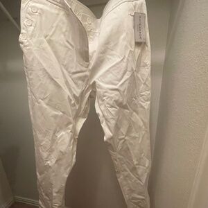 Size 14 SAGHARBOR pants Never Worn